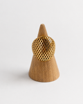 Anillo Mesh